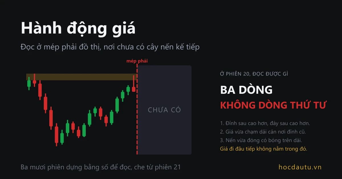 Một đồ thị nến bị tấm màn che nửa bên phải, phần lộ ra có ba chú thích đỉnh sau cao hơn, vùng cản phía trên và cây nến vừa đóng có bóng trên dài, phần bị che chưa có gì để đọc