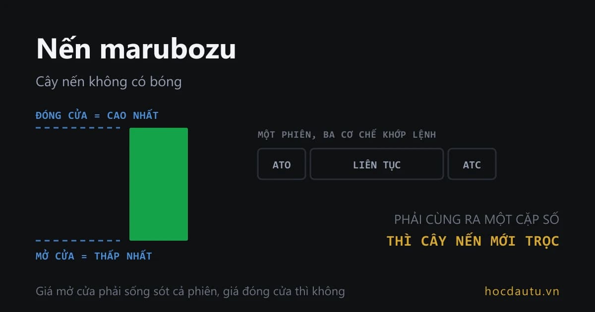 Một cây nến thân dài đặc không có bóng nào ở hai đầu, bên cạnh là dòng thời gian một phiên giao dịch chia thành ba khối đấu giá mở cửa, khớp lệnh liên tục và đấu giá đóng cửa