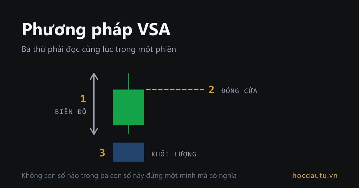 Một cây nến với mũi tên đo biên độ, dấu đánh vị trí đóng cửa và cột khối lượng bên dưới, ba thứ được đánh số một hai ba