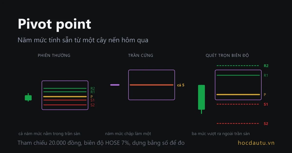 Ba cây nến hôm qua đặt cạnh nhau, mỗi cây suy ra năm mức pivot cho hôm nay: nến thường cho thang năm đường, nến trần cứng cho năm đường chập làm một, nến quét trọn biên độ cho ba đường vượt ra ngoài trần sàn