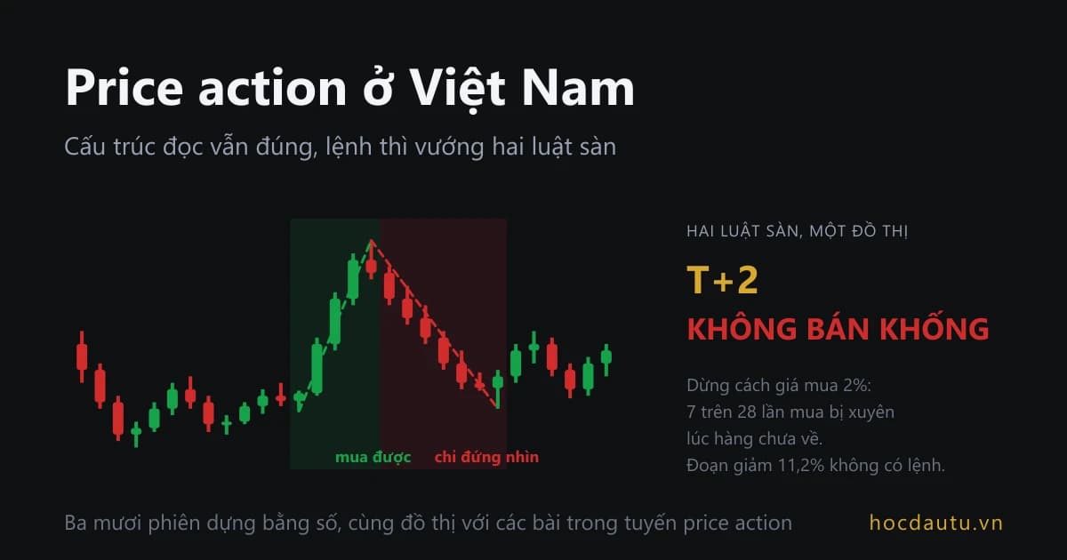 Đồ thị ba mươi phiên trên nền tối, dải xanh ghi mua được phủ đoạn tăng từ phiên 13 tới 17, dải đỏ ghi chỉ đứng nhìn phủ đoạn giảm từ phiên 17 tới 24; chữ lớn bên phải ghi T+2 và không bán khống
