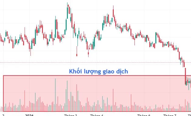 Biểu đồ nến với vùng khối lượng giao dịch phía dưới được khoanh nổi bật