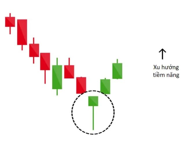 Chuỗi nến giảm kết thúc bằng một cây nến búa được khoanh tròn, kèm mũi tên chỉ xu hướng tiềm năng